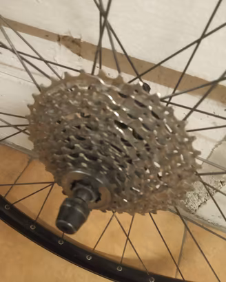 Ruote MTB 26