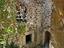 Immagine 11