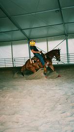 Cavallo