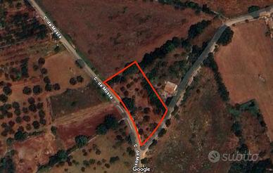 Terreno agricolo 2133 mq qualità uliveto