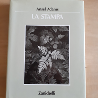 Ansel Adams LA STAMPA