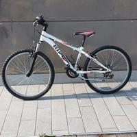 bici mauntain bike ragazzo