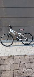 bici mauntain bike ragazzo