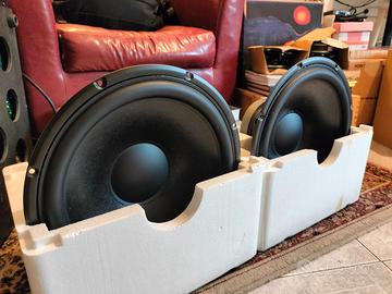 Altoparlanti Woofer Mid Seas Peerless