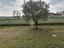 Immagine 13
