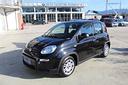 fiat-panda-1-0-firefly-s-s-hybrid