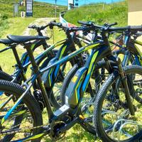 Ebike