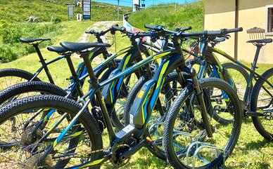 Ebike