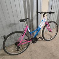 Bicicletta da ragazzo/a