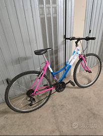 Bicicletta da ragazzo/a