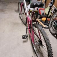 Bicicletta donna