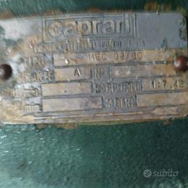 Pompa per irrigare marca caprari