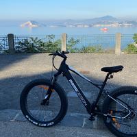 Bici elettrica