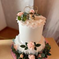 Torta finta