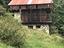 Immagine 2