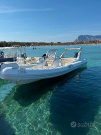 Sacs 870 S  motore yamaha 300 cv 2023