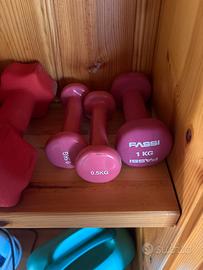 Manubri vari palestra fitness