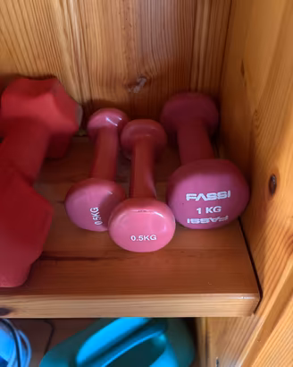 Manubri vari palestra fitness