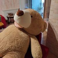 Peluches di orso gigante