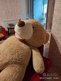 Peluches di orso gigante