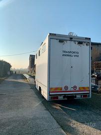 Van Trasporto Cavalli