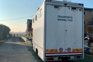 Van Trasporto Cavalli