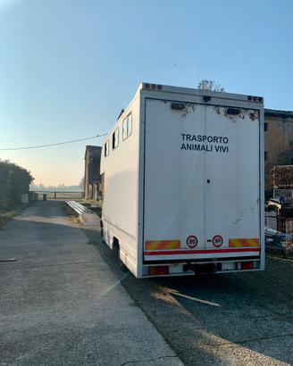 Van Trasporto Cavalli