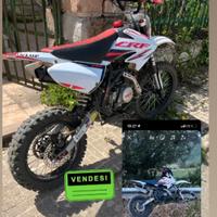 pit bike 140 PREZZO TRATTABILE 