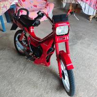 tubone OMC originale 