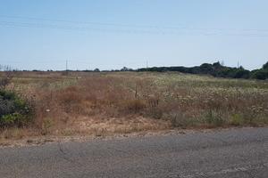 Terreno nel SINIS vicino mare adatto campeggio