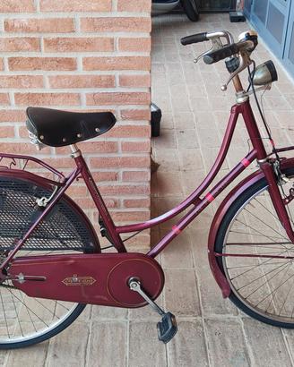 Bicicletta da passeggio 