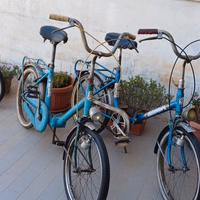 Bici pieghevoli 