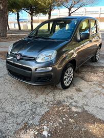 FIAT Panda 3ª serie - 2017