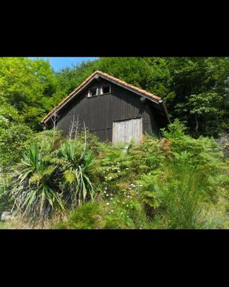 Chalet con bosco 3343mq