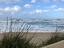 Immagine 22