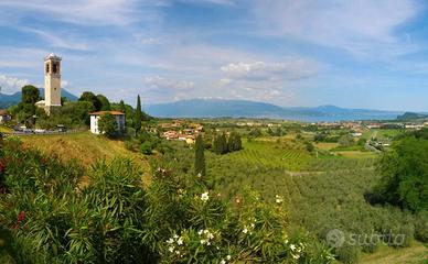 Ristorante e B&B sulle colline - Cod. 90049