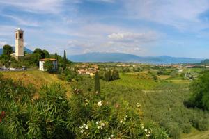 Ristorante e B&B sulle colline - Cod. 90049