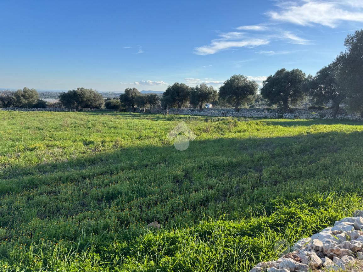 TER. AGRICOLO A POLIGNANO A MARE - Vista 4