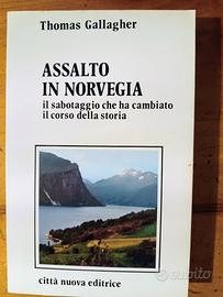 Assalto in Norvegia.(II°Guerra Mondiale)