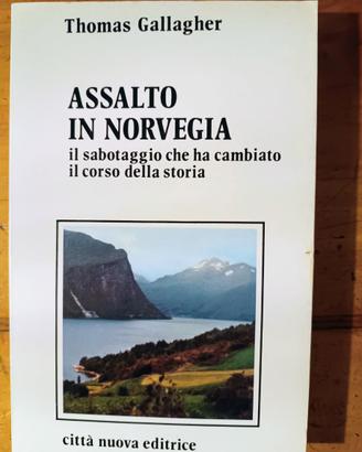 Assalto in Norvegia.(II°Guerra Mondiale)