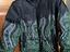 Immagine 6