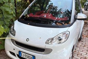 smart 2011