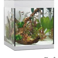 Acquario askol pure m