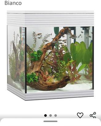 Acquario askol pure m