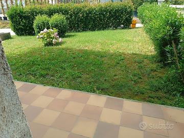 QUARRATA loc.Bottegaccia in bifamiliare c/giardino