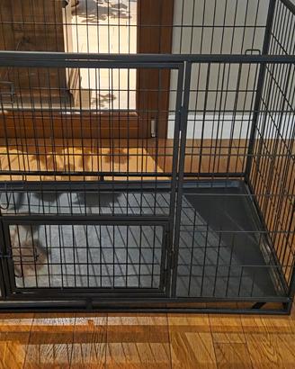 kennel gabbia per cani
