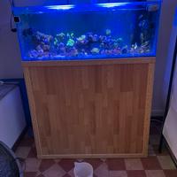 Acquario marino