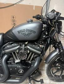 Harley davidson sporster 883 iron