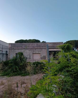 villa singola con terreno 