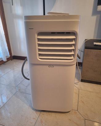 Dyson v15 origine e Pinguino Argo